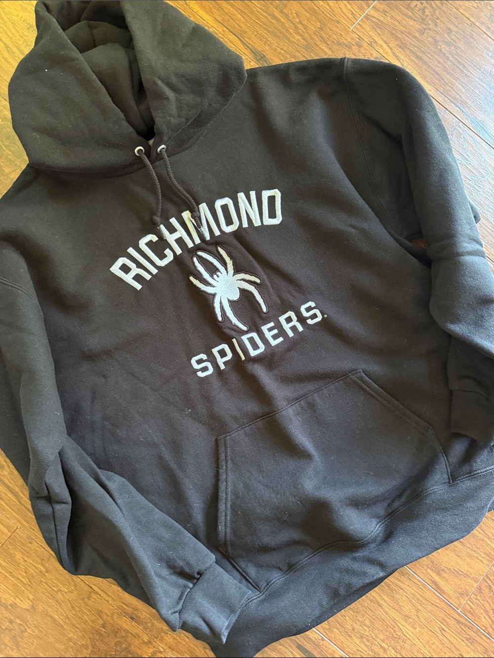 Men’s Champion Power Blend Hooded Sweatshirt - University of Richmond
